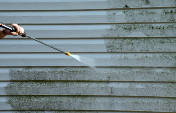 Best Sidewalk Pressure Washing  in Churubusco, IN